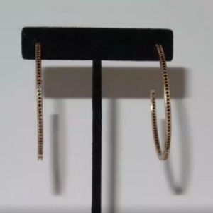 Gold Platted Hoop Earrings